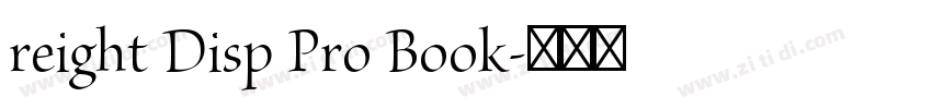 reight Disp Pro Book字体转换